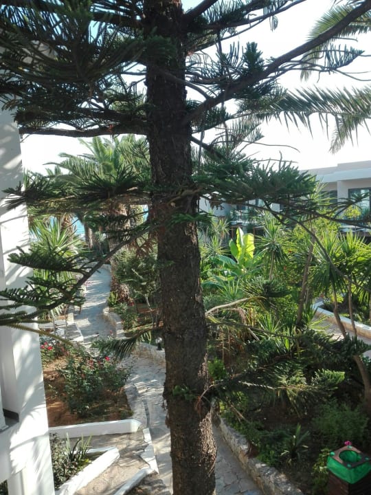 Gartenanlage HARPIN Happy Days Beach Hotel