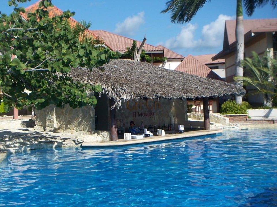 Swim-up-Bar Villas Bavaro Resort & Spa