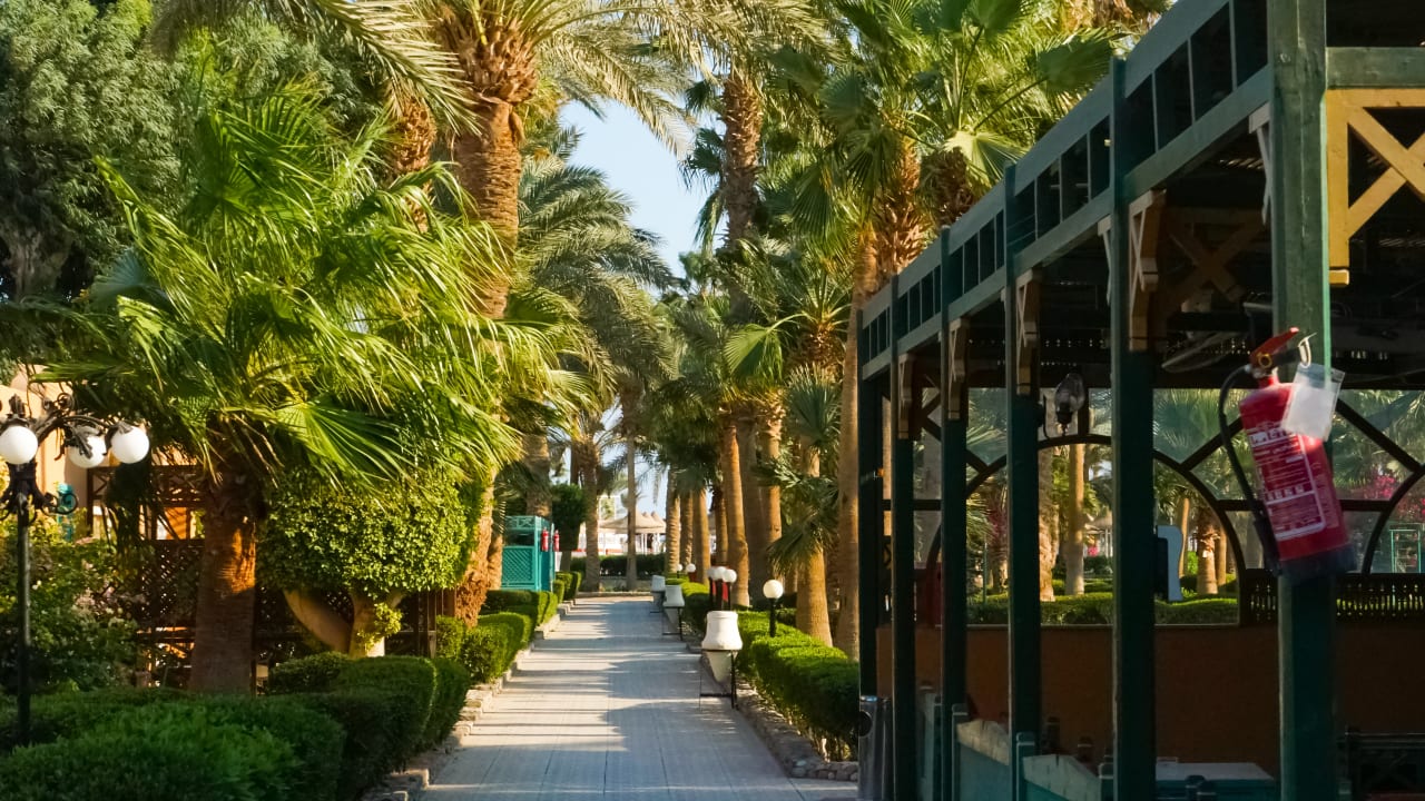 Außenansicht Giftun Azur Resort