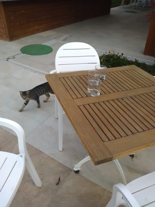 Restaurant Well Palace Side