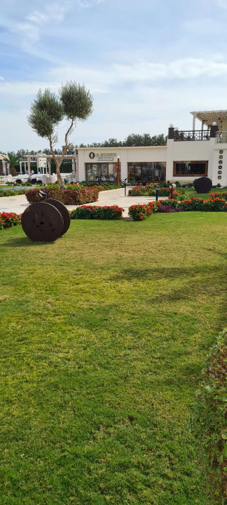 Gastro Gravity Hotel & Aqua Park Hurghada