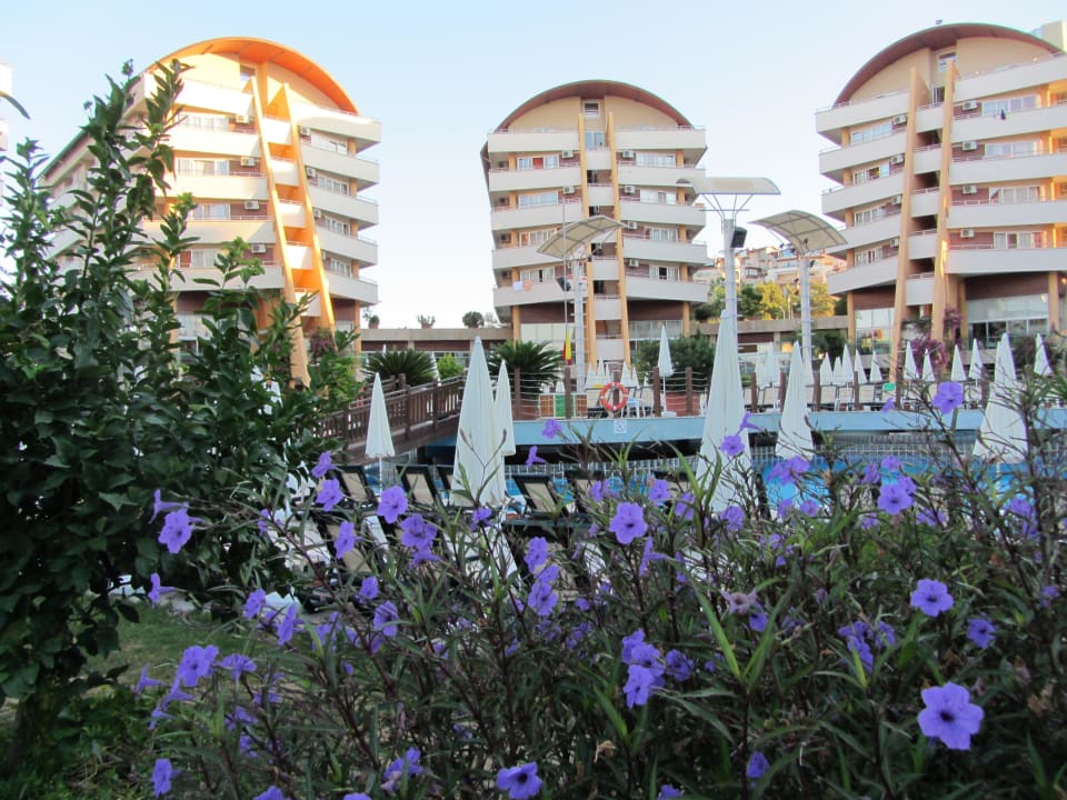 Blick auf Block 3 bis 5 Alaiye Resort & Spa