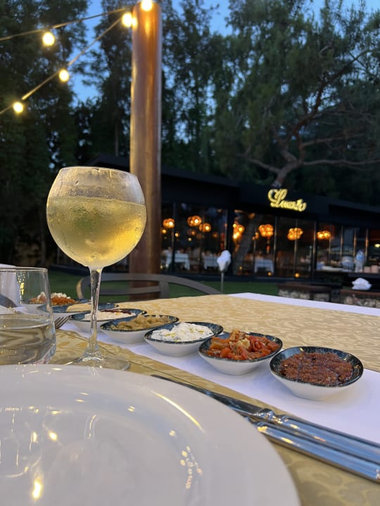 Gastro TUI MAGIC LIFE Beldibi +16