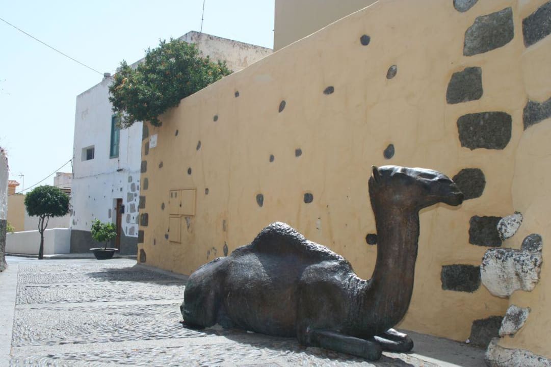 Das Bronzekamel vorm Hotel Hotel Rural Casa de Los Camellos