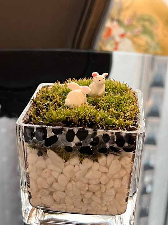 Sonstiges Hotel Mira Moon