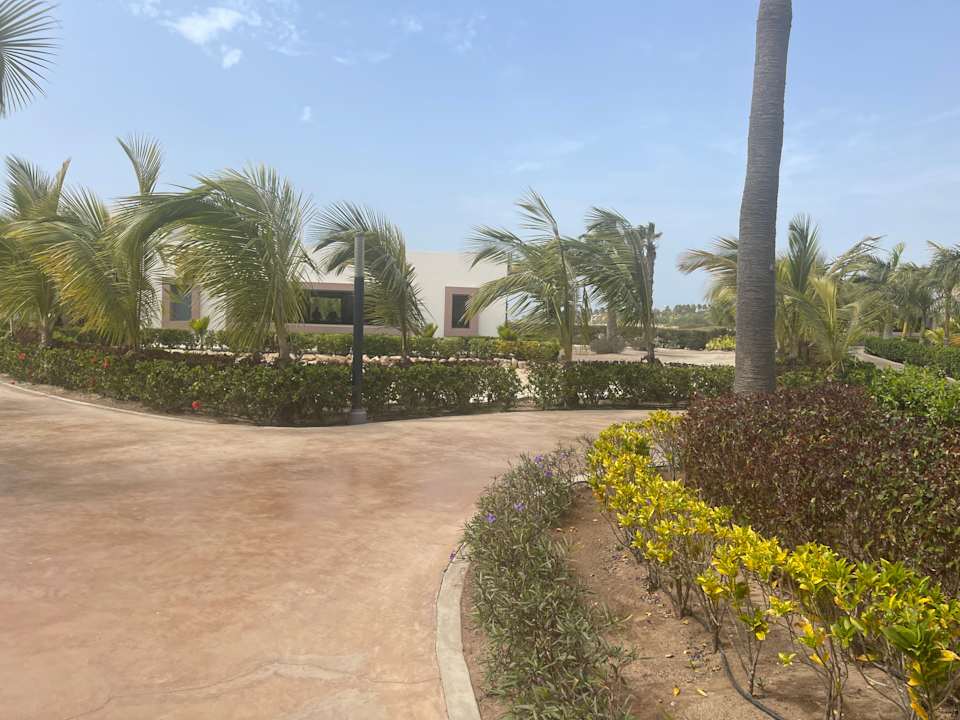 Gartenanlage Hotel Riu Palace Santa Maria