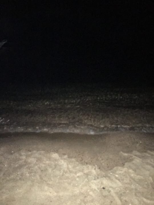 Strand Palm Beach Resort