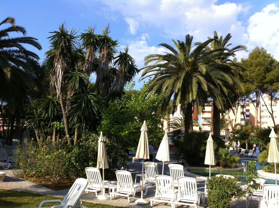 Gartenanlage Hotel Riu Bravo