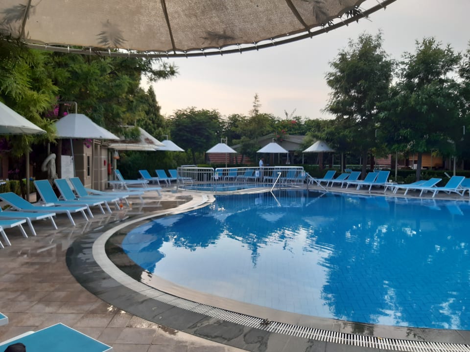 Pool Can Garden Beach