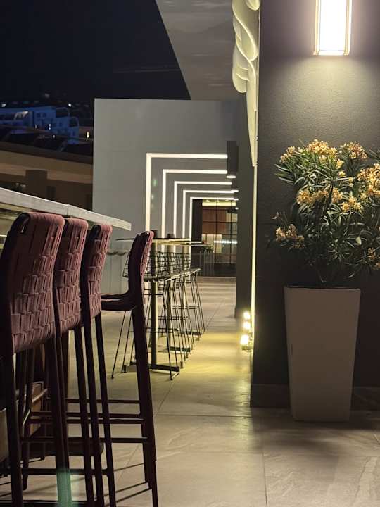 Lobby Acanthus Cennet Barut Collection