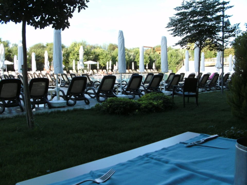 Garten und Pool Commodore Elite Suites & Spa - Adults only