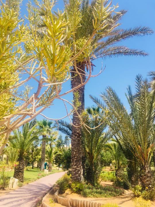 Gartenanlage Aldiana Club Djerba Atlantide