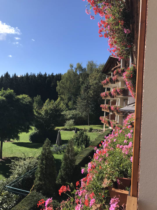 Ausblick Hotel Bayerwaldhof