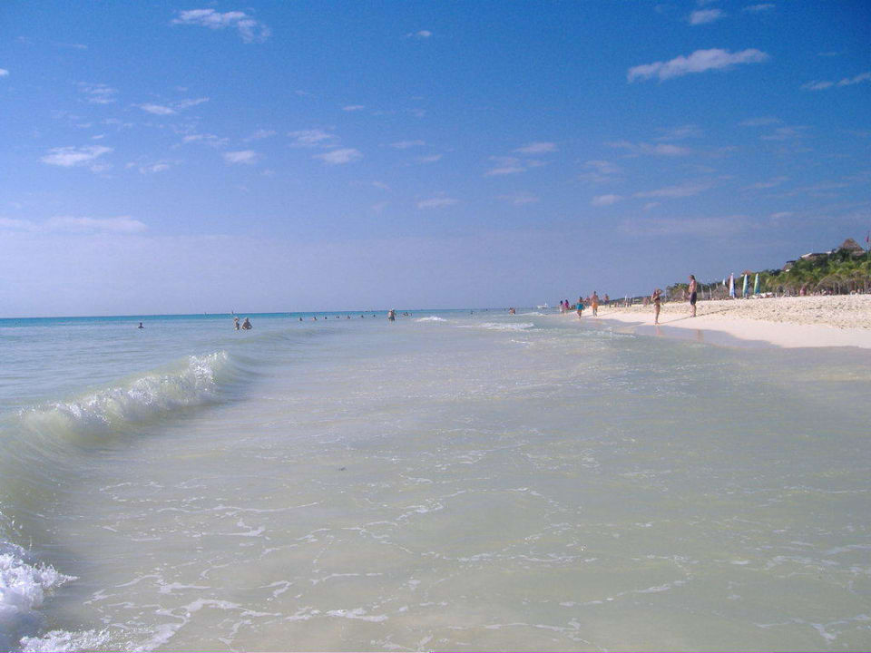 Ohne Worte Hotel Riu Palace Mexico