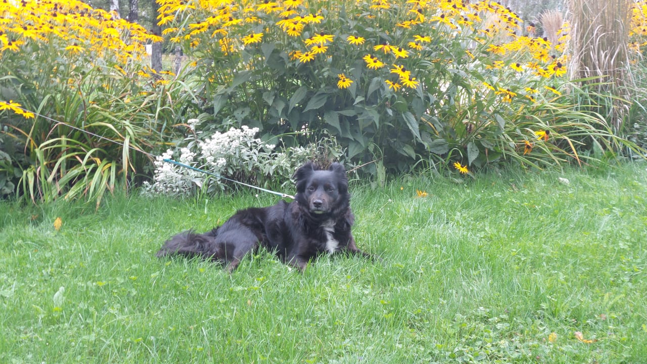 Gartenanlage Bärnsteinhof Gasthof mit Herz