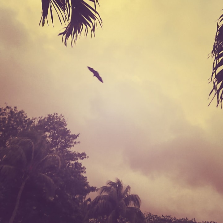 Strand Berjaya Beau Vallon Bay Resort & Casino