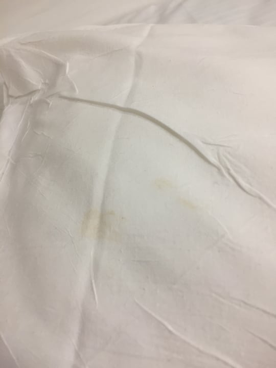 Zimmer Ramada Hotel & Suites By Wyndham Ayia Napa