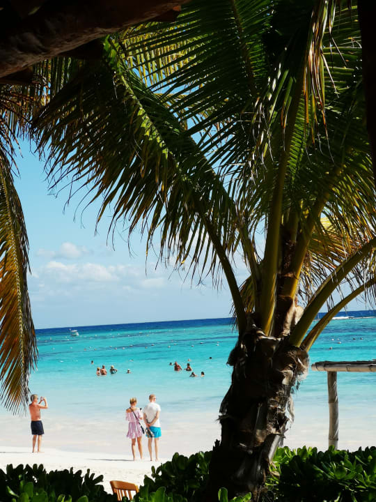 Strand Akumal Bay Beach & Wellness Resort