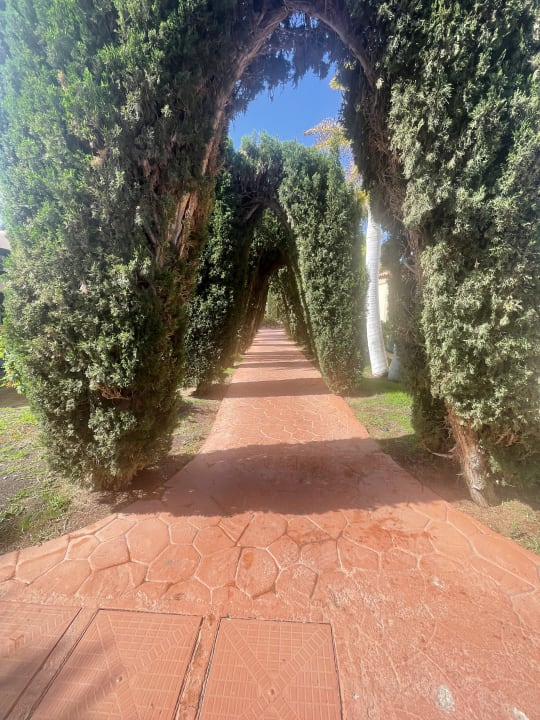 Gartenanlage allsun Hotel Esplendido