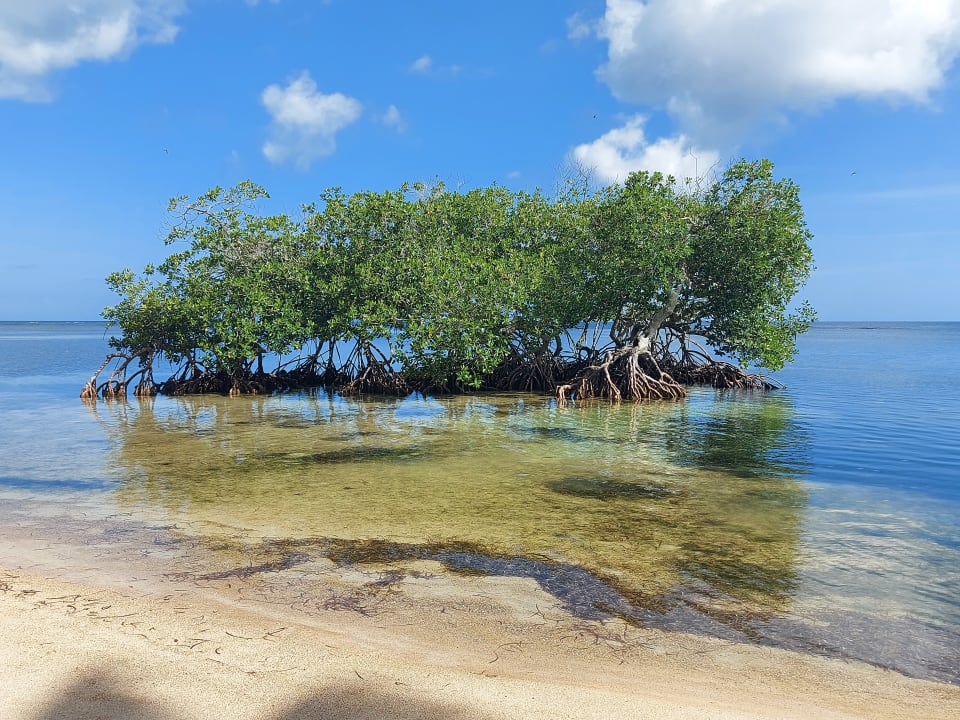 Strand Bahia Principe Grand El Portillo