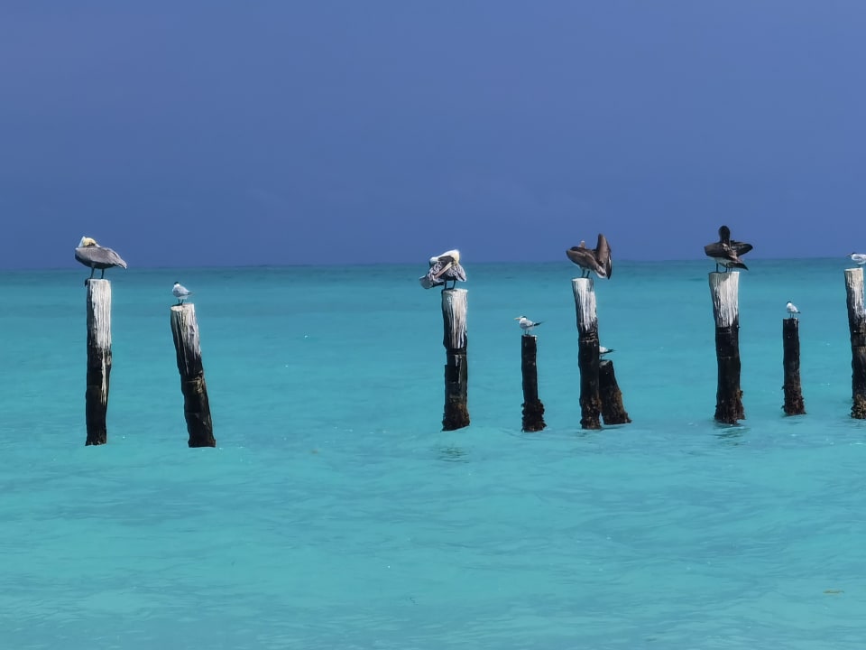 Ausblick Hotel Riu Dunamar