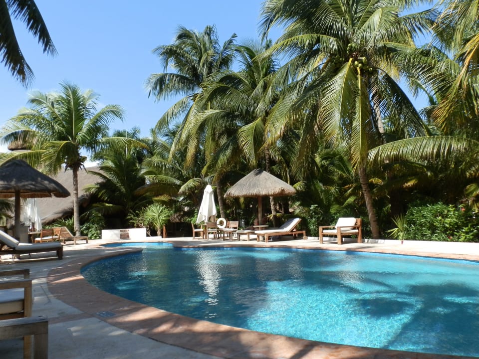 Pool Hotel Las Palapas