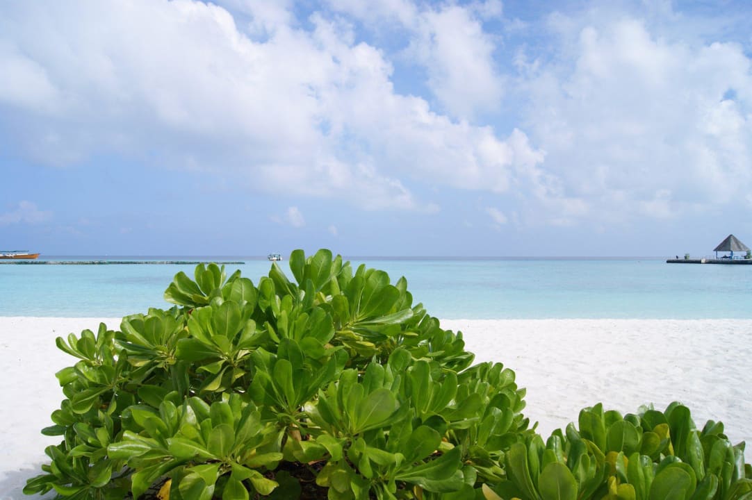 Einfach nur herrlich Summer Island Maldives