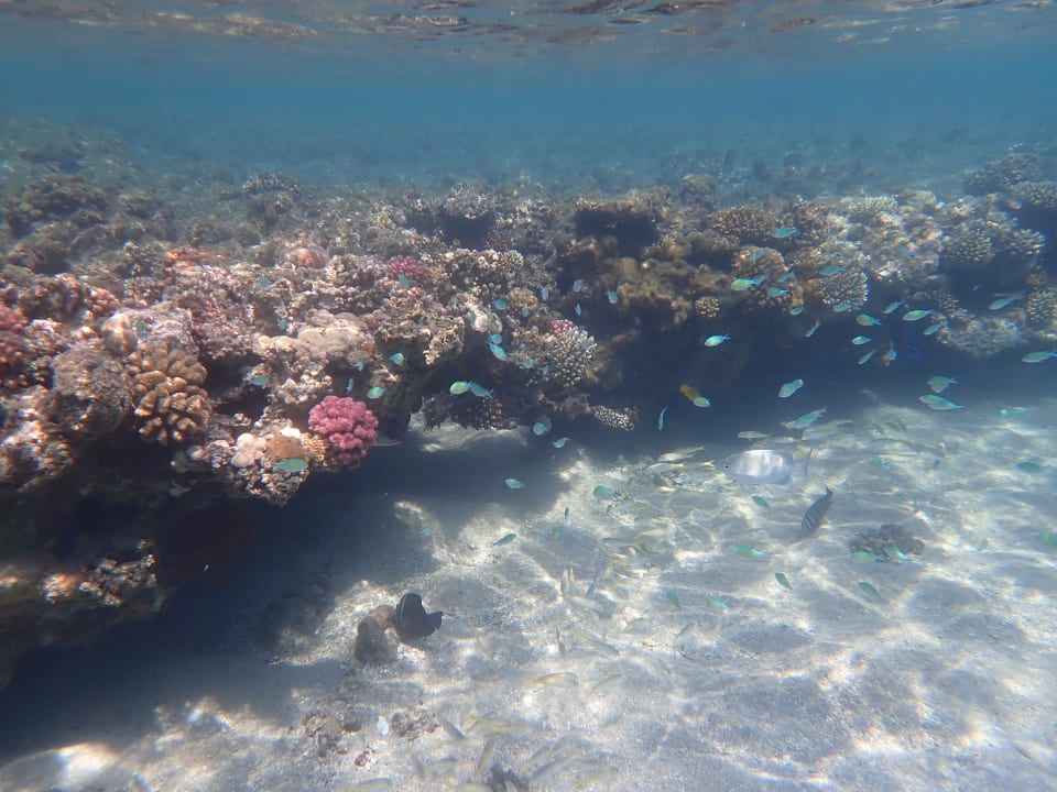 Strand Shams Alam Beach Resort