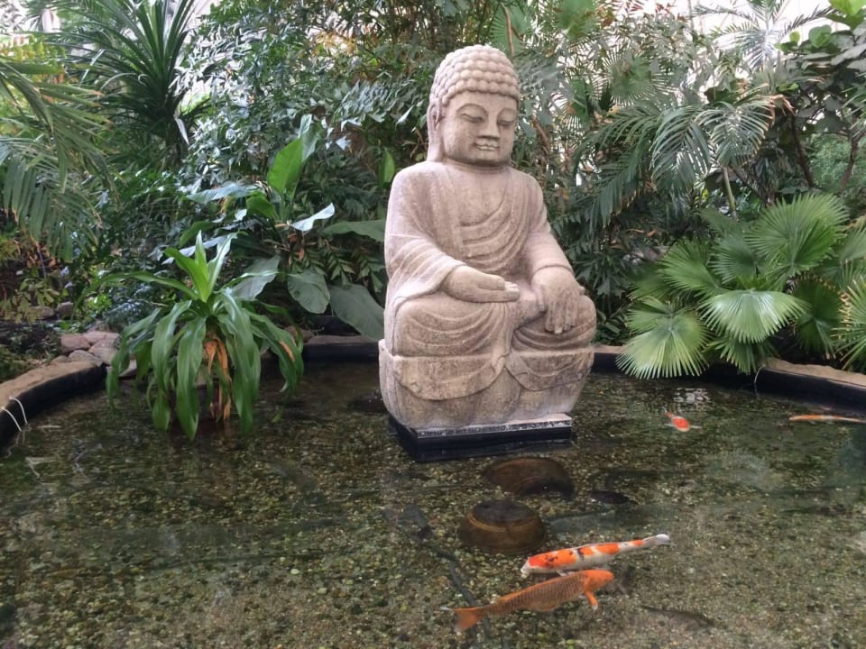 Buddah + Fische Tropical Islands Resort