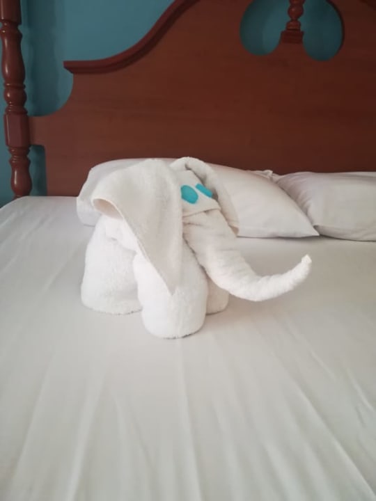 Słonik z ręcznika Titanic Beach Spa & Aqua Park