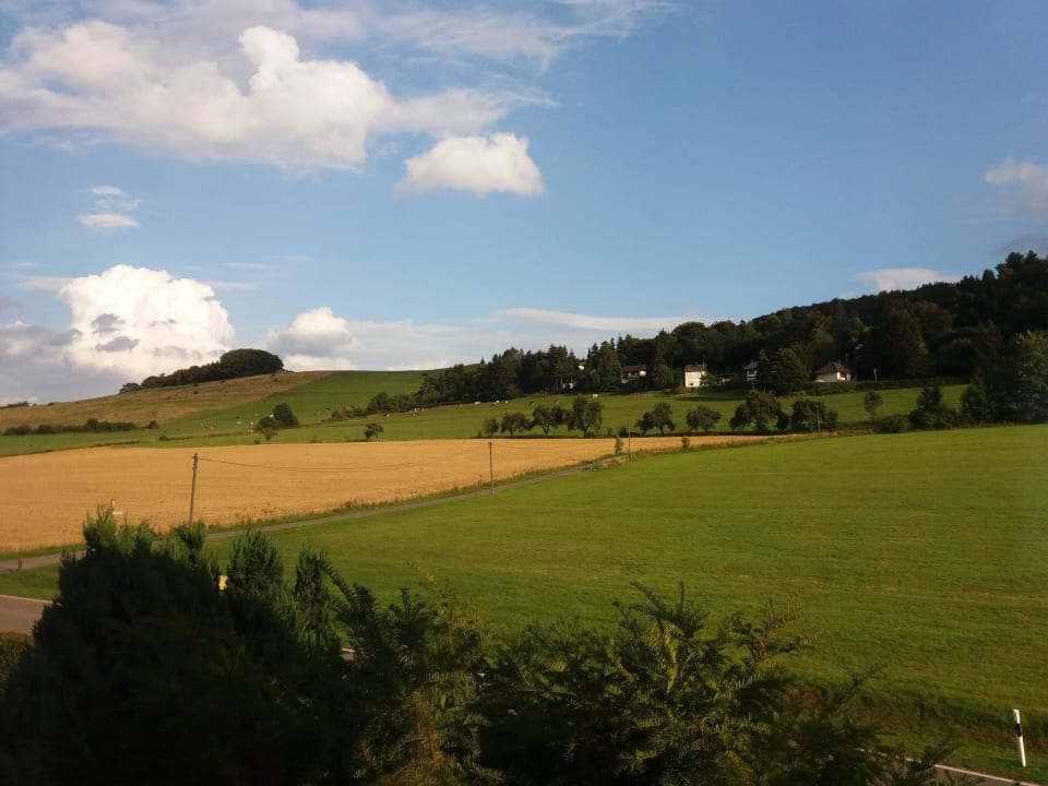 Blick aus dem Wohnzimmer  Wiesenberghof