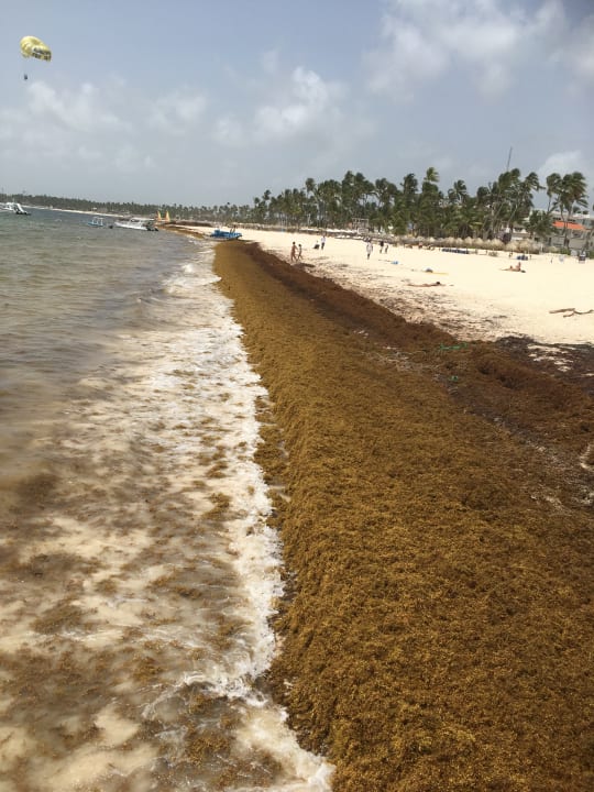 Strand Meliá Caribe Beach Resort-All Inclusive