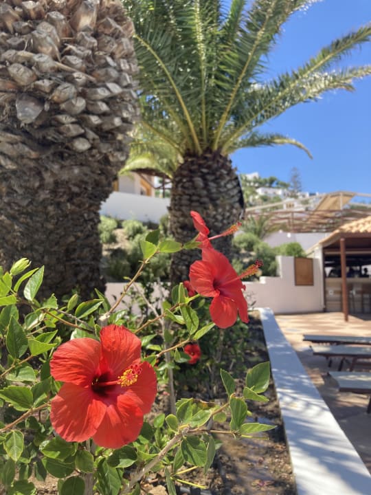 Gartenanlage Lagas Aegean Village