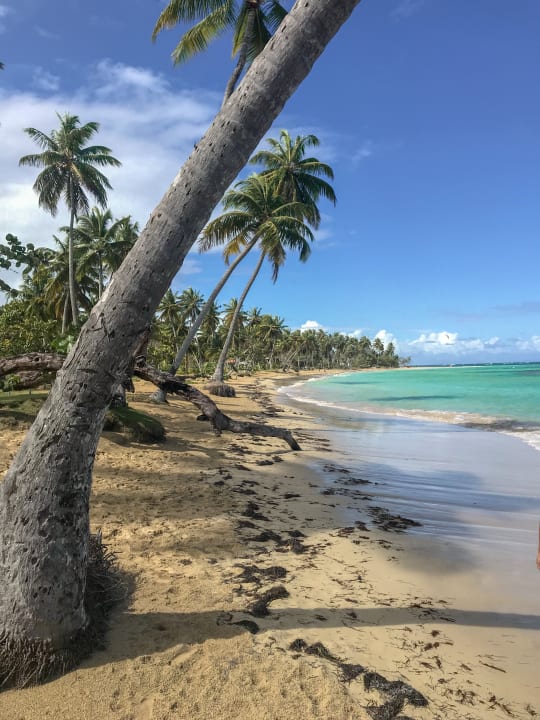 Strand Bahia Principe Grand El Portillo