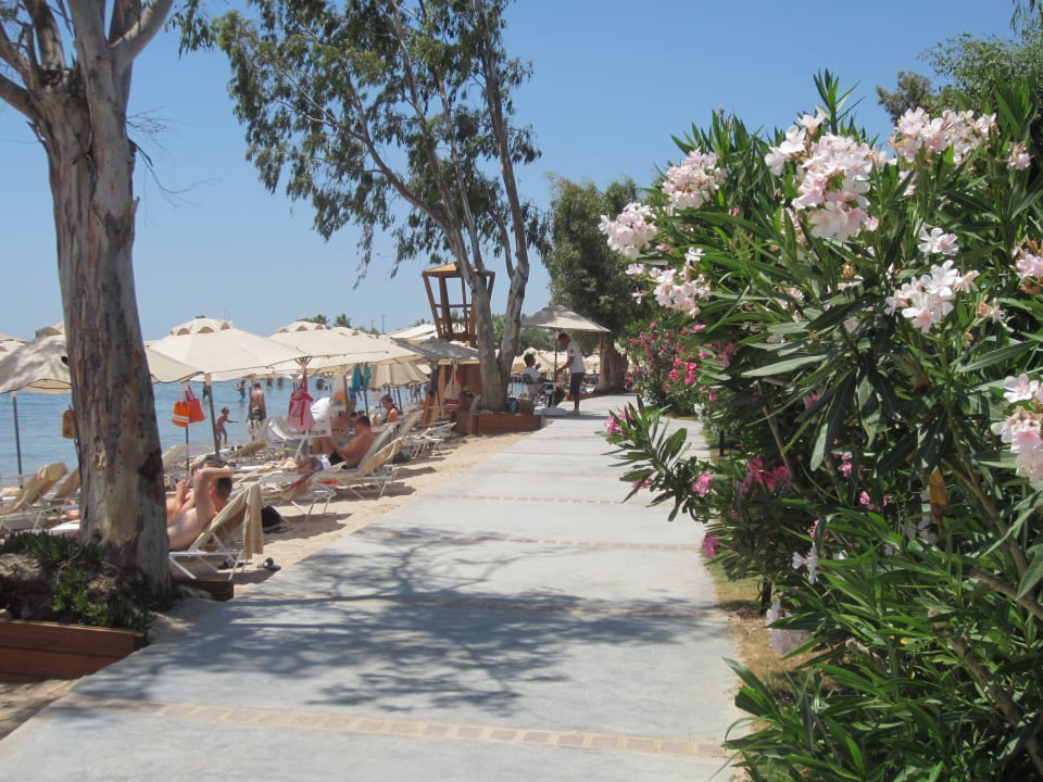 Strandpromenade des Hotels Asteria Venus Didim