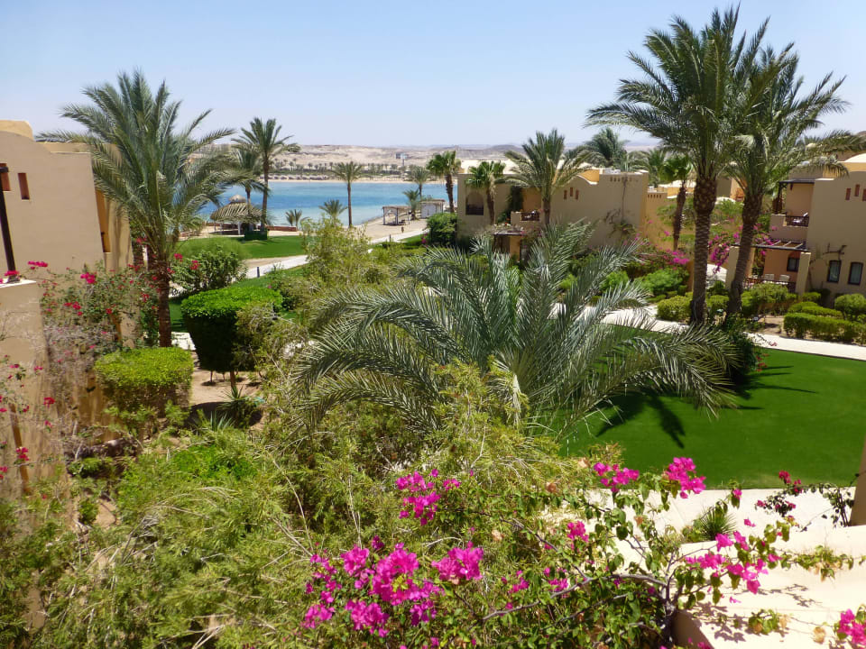 Blick zum Meer  Steigenberger Coraya Beach - Adults only