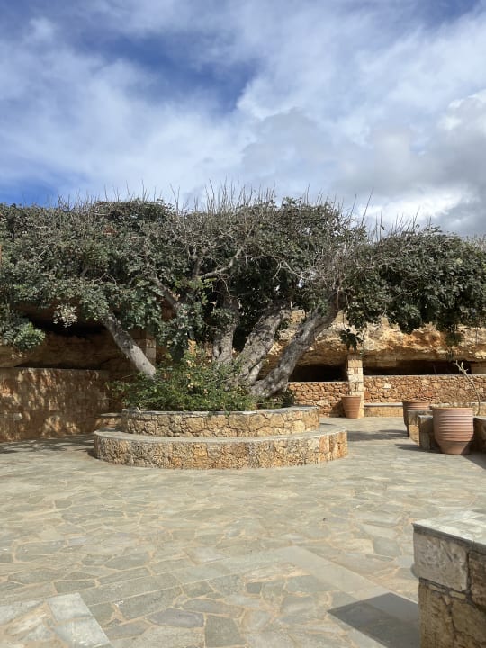 Gartenanlage Kernos Beach Hotel & Bungalows