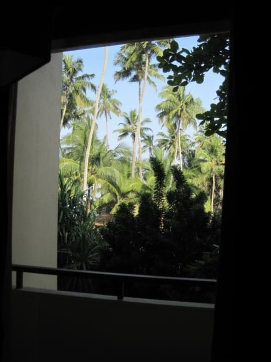 Zimmerausblick Mermaid Hotel & Club