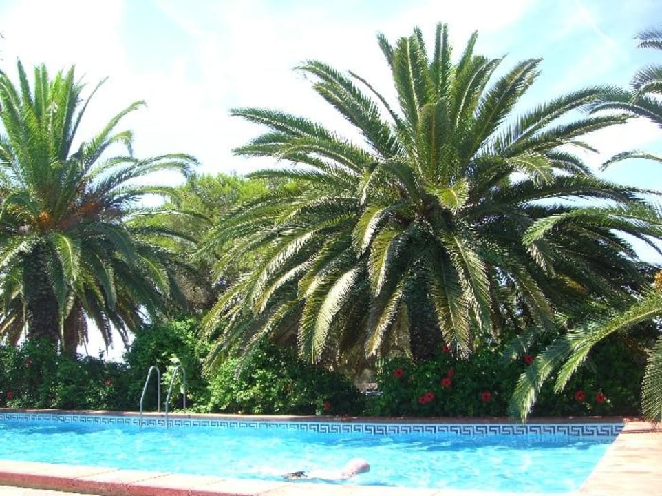 Kleiner Pool Hotel Sa Bassa Plana