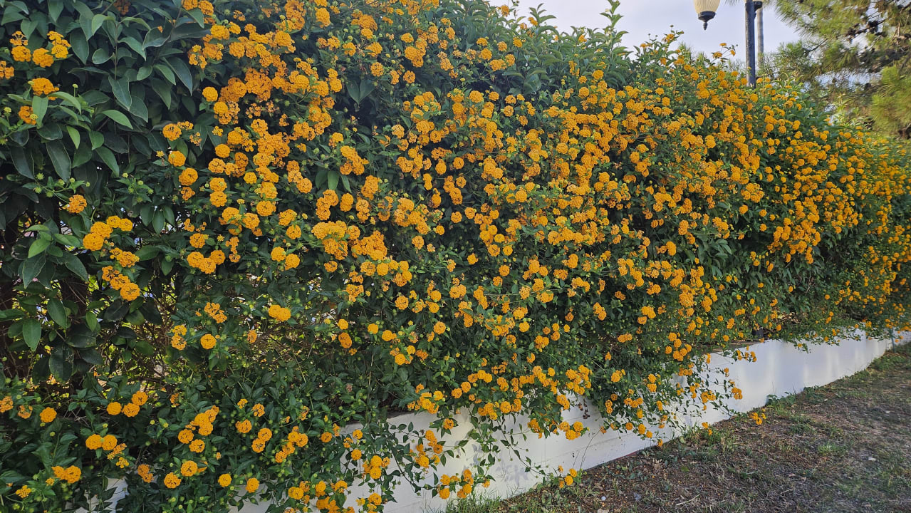 Sonstiges Asteria Family Resort Side