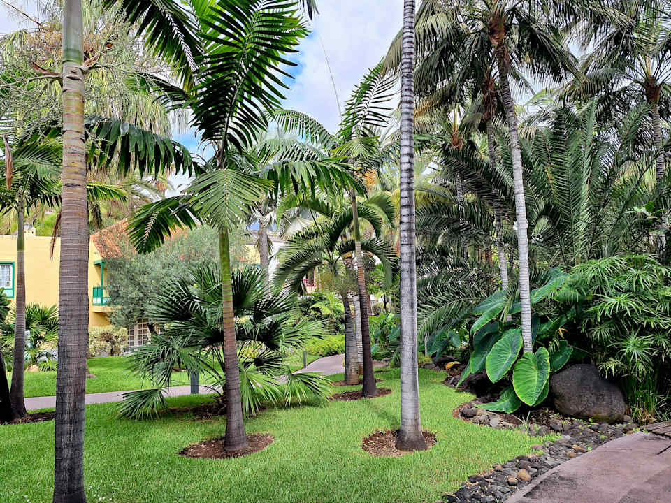 Gartenanlage Hacienda San Jorge