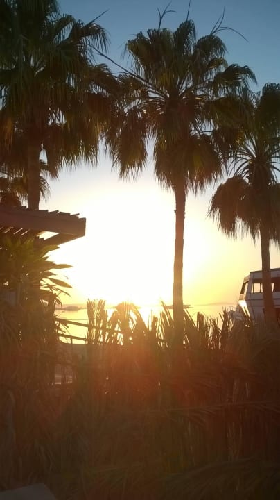 Солнце в пальмах Marlin Inn Azur Resort