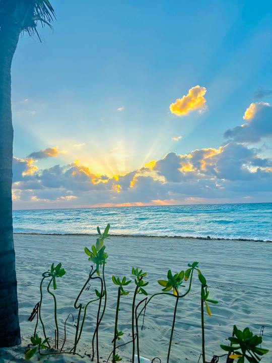 Strand Viva Maya by Wyndham - All Inclusive Resort