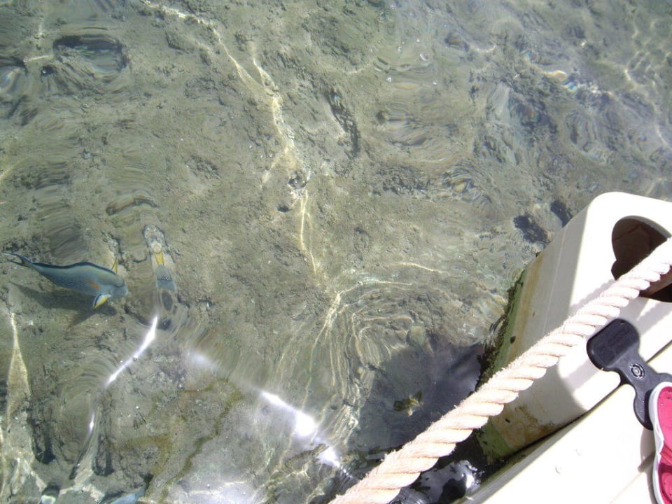 Glassklares Wasser am Hotelriff Pickalbatros Palace Resort