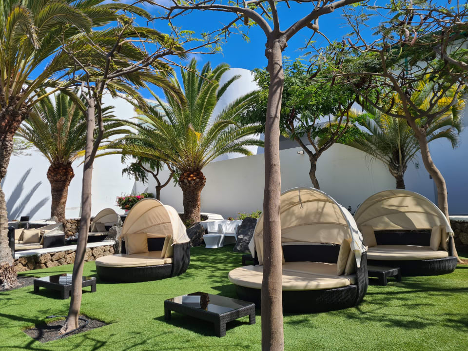 Gartenanlage Barceló Teguise Beach - Adults only