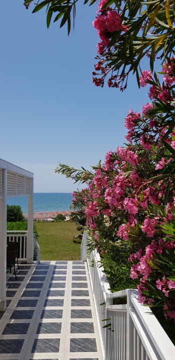 Ausblick Alba Queen Hotel