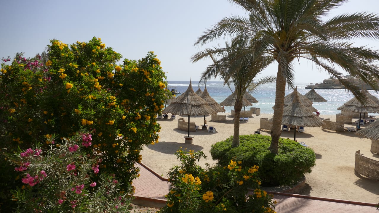 Strand Mövenpick Resort El Quseir