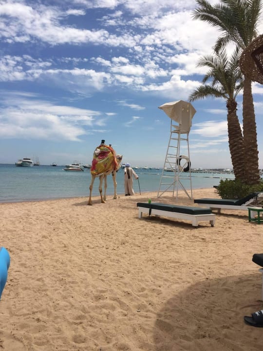 Am Strand Giftun Azur Resort