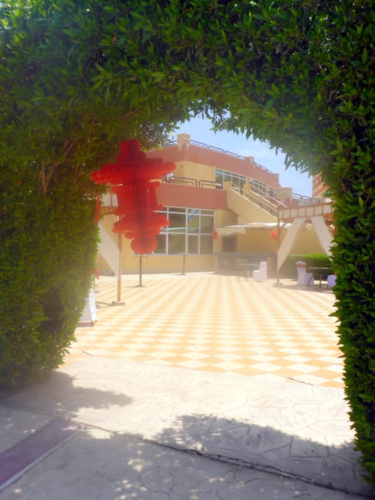 Restaurant Malikia Resort Abu Dabbab