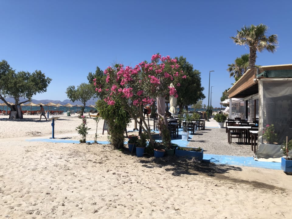 Gastro Mastichari Bay Hotel